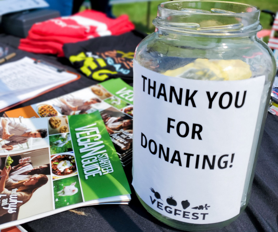 VegFest Donation Jar